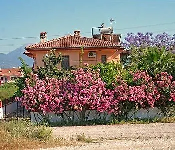 Villa Truva Fethiye